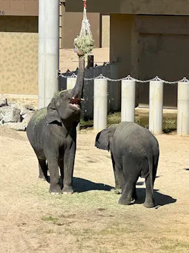 天王寺動物園に投稿された画像（2026/10/5）