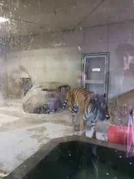 天王寺動物園に投稿された画像（2026/10/5）