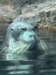 大分マリーンパレス水族館 「うみたまご」に投稿された画像（2026/10/5）