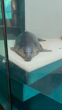 大分マリーンパレス水族館 「うみたまご」に投稿された画像（2026/10/5）