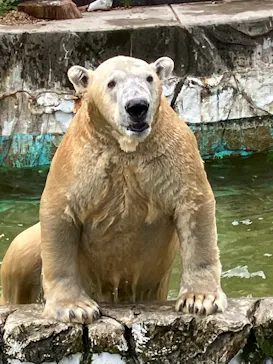 名古屋市東山動植物園に投稿された画像（2026/10/5）