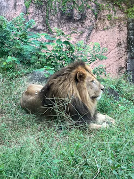 名古屋市東山動植物園に投稿された画像（2026/10/5）