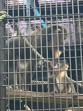 名古屋市東山動植物園に投稿された画像（2026/10/5）