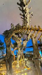 福井県立恐竜博物館に投稿された画像（2026/10/5）