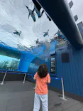 サンシャイン水族館に投稿された画像（2026/10/5）