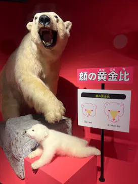 特別展「いきもの超ワールド展　国立科学博物館×ダーウィンが来た！」（国立科学博物館）に投稿された画像（2026/10/5）