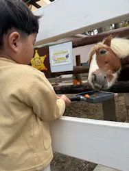 東武動物公園に投稿された画像（2026/10/5）