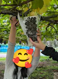 果実の里 原田農園に投稿された画像（2026/10/5）