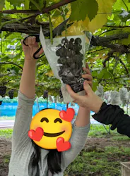 果実の里 原田農園に投稿された画像（2026/10/5）