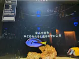 横浜開運水族館 フォーチュンアクアリウムに投稿された画像（2026/10/5）