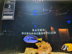 横浜開運水族館 フォーチュンアクアリウムに投稿された画像（2026/10/5）