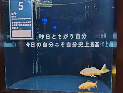 横浜開運水族館 フォーチュンアクアリウムに投稿された画像（2026/10/5）