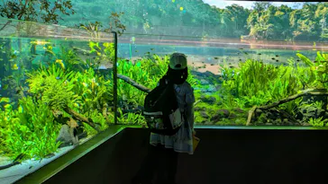 カワスイ 川崎⽔族館に投稿された画像（2026/10/5）