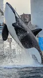 名古屋港水族館に投稿された画像（2026/10/5）