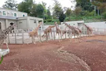 多摩動物公園に投稿された画像（2026/10/5）