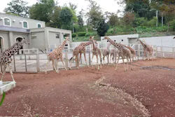 多摩動物公園に投稿された画像（2026/10/5）