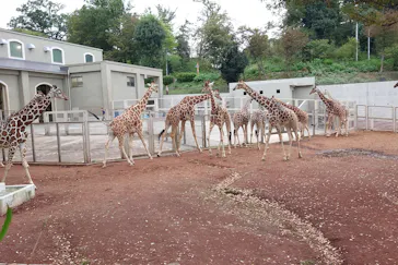 多摩動物公園に投稿された画像（2026/10/5）