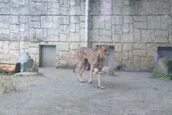 多摩動物公園に投稿された画像（2026/10/5）