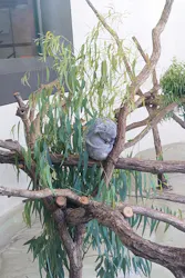 多摩動物公園に投稿された画像（2026/10/5）