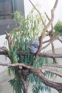 多摩動物公園に投稿された画像（2026/10/5）