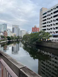 横浜SUP倶楽部に投稿された画像（2026/10/5）