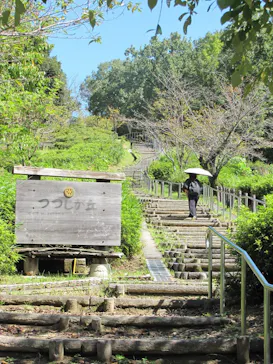 名古屋市東山動植物園に投稿された画像（2026/10/5）