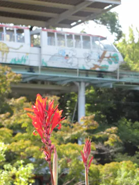 名古屋市東山動植物園に投稿された画像（2026/10/5）