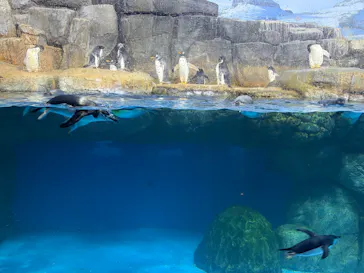 横浜・八景島シーパラダイスに投稿された画像（2026/10/5）