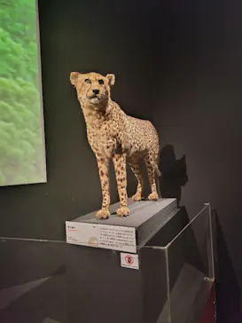 特別展「いきもの超ワールド展　国立科学博物館×ダーウィンが来た！」（国立科学博物館）に投稿された画像（2026/10/5）