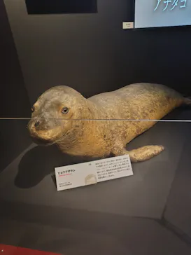 特別展「いきもの超ワールド展　国立科学博物館×ダーウィンが来た！」（国立科学博物館）に投稿された画像（2026/10/5）