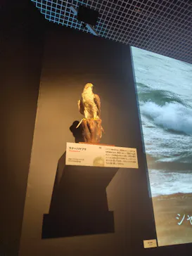 特別展「いきもの超ワールド展　国立科学博物館×ダーウィンが来た！」（国立科学博物館）に投稿された画像（2026/10/5）