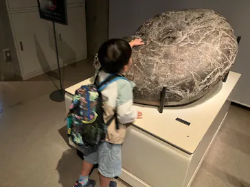 国立科学博物館に投稿された画像（2026/10/5）