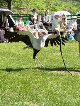 掛川花鳥園に投稿された画像（2026/10/6）