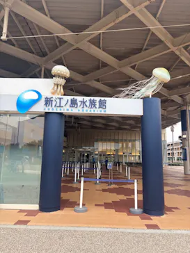 新江ノ島水族館に投稿された画像（2026/10/6）
