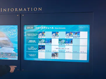 新江ノ島水族館に投稿された画像（2026/10/6）