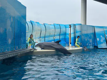 新江ノ島水族館に投稿された画像（2026/10/6）