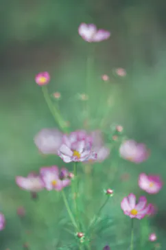 名古屋市東山動植物園に投稿された画像（2026/10/6）