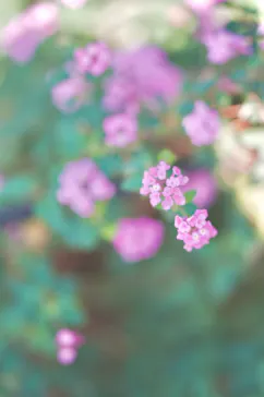 名古屋市東山動植物園に投稿された画像（2026/10/6）