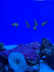 アクアワールド茨城県大洗水族館に投稿された画像（2026/10/6）