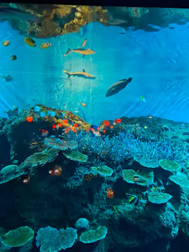 アクアワールド茨城県大洗水族館に投稿された画像（2026/10/6）