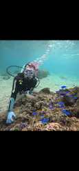 武藤潜水に投稿された画像（2026/10/6）