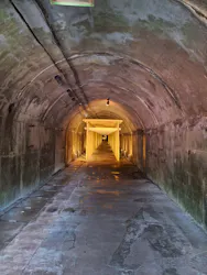土肥金山に投稿された画像（2026/10/6）