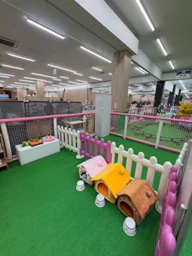 キッズランドUS 千葉フレスポ稲毛店に投稿された画像（2026/10/6）