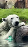 天王寺動物園に投稿された画像（2026/10/6）