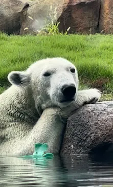 天王寺動物園に投稿された画像（2026/10/6）