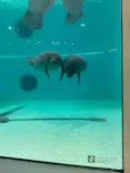 沖縄美ら海水族館に投稿された画像（2026/10/6）