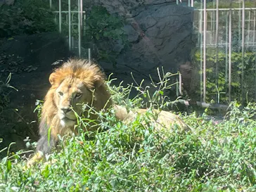名古屋市東山動植物園に投稿された画像（2026/10/6）
