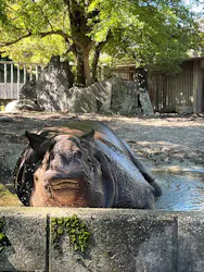 名古屋市東山動植物園に投稿された画像（2026/10/6）