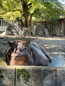 名古屋市東山動植物園に投稿された画像（2026/10/6）