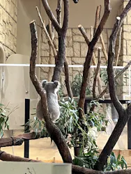 名古屋市東山動植物園に投稿された画像（2026/10/6）